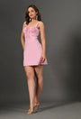 Barbie Blush Dress - Lincoln Paris